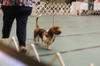 Enlarge photo 56