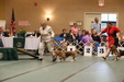 Enlarge photo 51