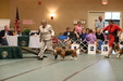 Enlarge photo 49