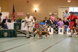 Enlarge photo 50