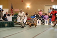 Enlarge photo 47