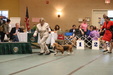 Enlarge photo 48