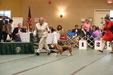 Enlarge photo 46