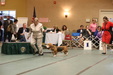 Enlarge photo 42