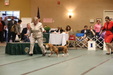 Enlarge photo 43