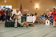 Enlarge photo 41