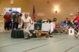 Enlarge photo 40