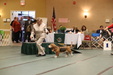 Enlarge photo 39