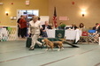 Enlarge photo 37