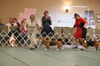 Enlarge photo 330