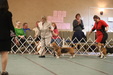 Enlarge photo 326