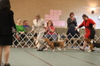 Enlarge photo 323