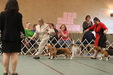 Enlarge photo 322