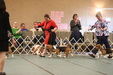 Enlarge photo 318