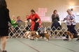 Enlarge photo 316
