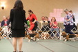 Enlarge photo 310