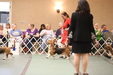 Enlarge photo 308