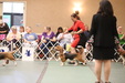 Enlarge photo 307
