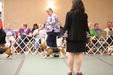 Enlarge photo 302