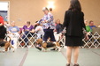 Enlarge photo 300
