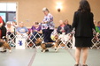 Enlarge photo 299