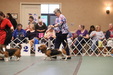 Enlarge photo 292