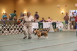 Enlarge photo 286