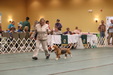 Enlarge photo 285