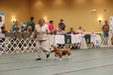 Enlarge photo 284
