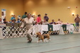 Enlarge photo 283