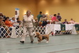 Enlarge photo 278