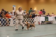 Enlarge photo 277