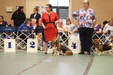 Enlarge photo 251