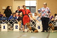 Enlarge photo 249