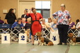 Enlarge photo 248