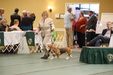 Enlarge photo 240