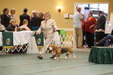 Enlarge photo 238