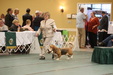 Enlarge photo 237