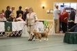 Enlarge photo 235