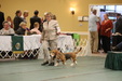 Enlarge photo 236