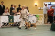Enlarge photo 233