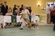 Enlarge photo 234