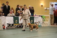 Enlarge photo 231