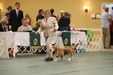 Enlarge photo 229