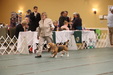 Enlarge photo 230