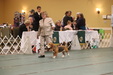 Enlarge photo 227