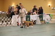 Enlarge photo 228