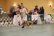 Enlarge photo 226