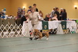 Enlarge photo 225
