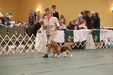 Enlarge photo 224
